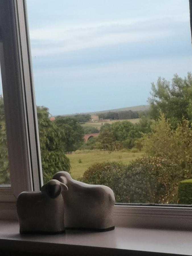 וויטבי Greystones Guesthouse מראה חיצוני תמונה